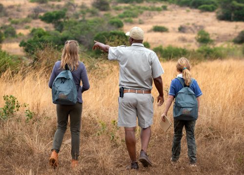 How to Plan an Unforgettable Family Safari in Tanzania?