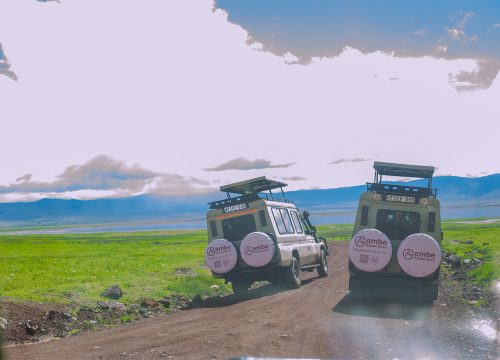 3 Days Tanzania Classic lodge Safari