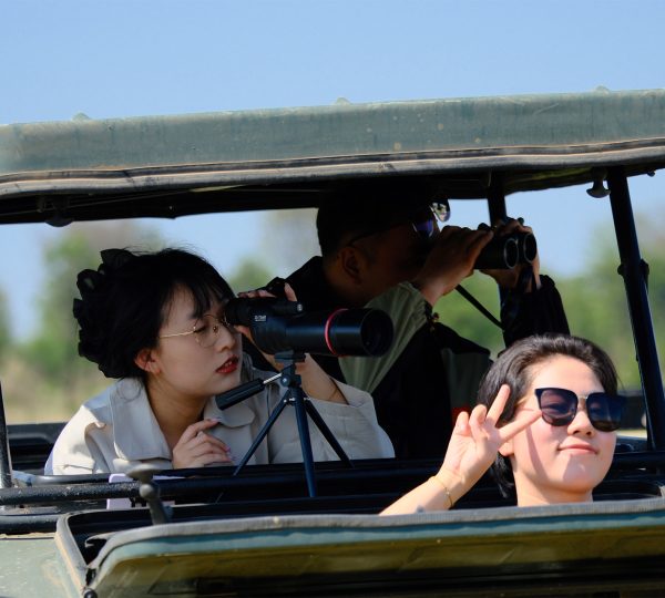 Is a Photographic Safari in Tanzania Worth It?