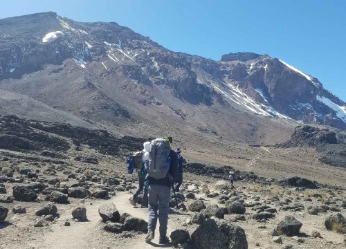 6 Days Kilimanjaro's Hiking Machame Route