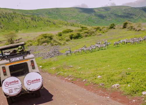 6 Days Affordable Safari Holidays