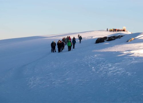9 Days Kilimanjaro's Hiking Northern Circuit Route