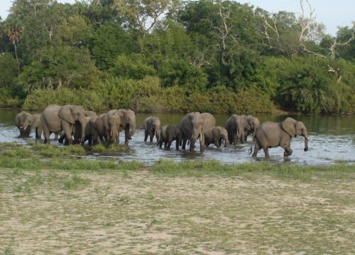 4 Days southern Tanzania safari Holidays