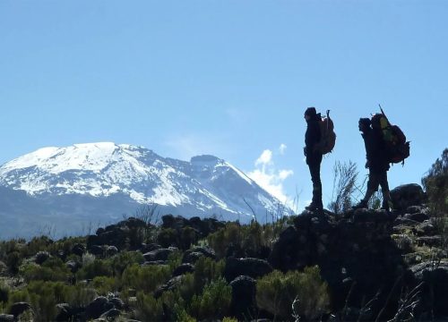 7 Days Kilimanjaro's Hiking Umbwe Route