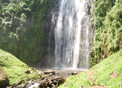 Materuni Waterfall Day Trip
