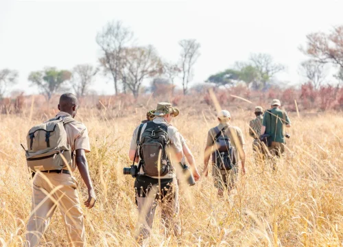 Why You Should Try A Tanzania Walking Safari