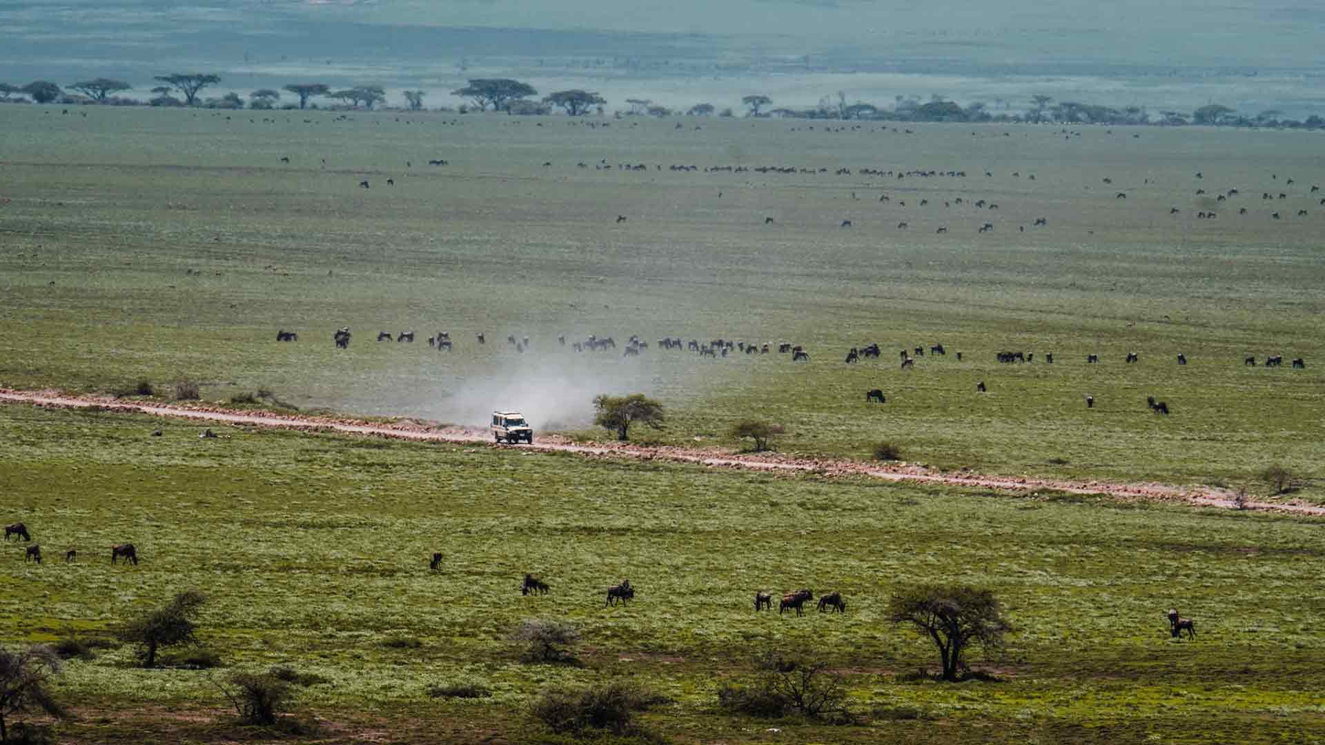 Serengeti National Park